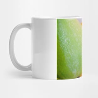 Pumpkin Blossom & Fruit Mug